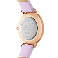 Watch Daniel Wellington Woman PETITE LAVENDER in Steel DW00100634 - DW00100634